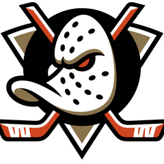Collection image for: Anaheim Ducks