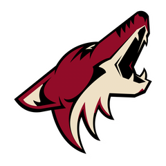 Collection image for: Arizona Coyotes