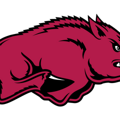 Collection image for: Arkansas Razorbacks