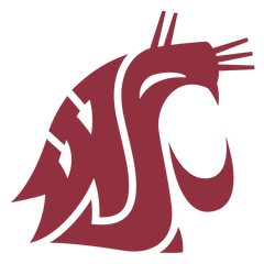 Collection image for: Washington State Cougars